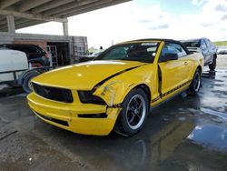 Vehiculos salvage en venta de Copart West Palm Beach, FL: 2005 Ford Mustang