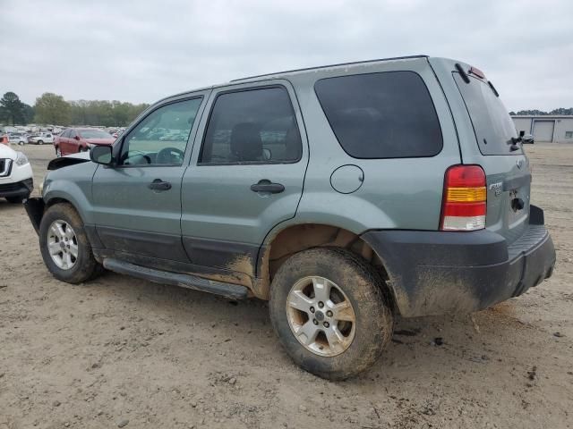 2007 Ford Escape XLT