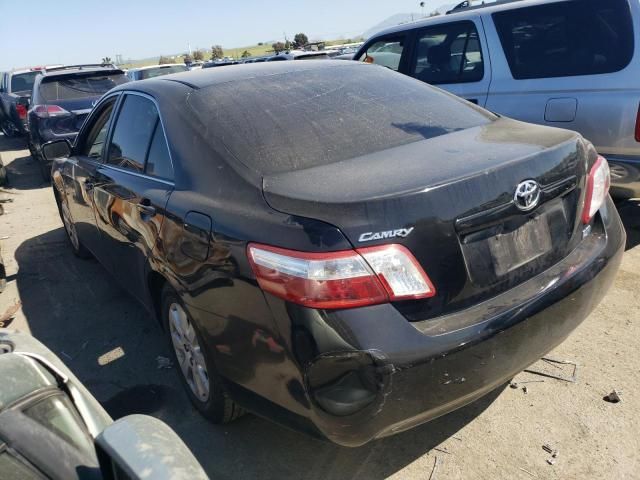 2009 Toyota Camry Hybrid