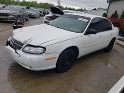 Salvage cars for sale at Louisville, KY auction: 2004 Chevrolet Classic