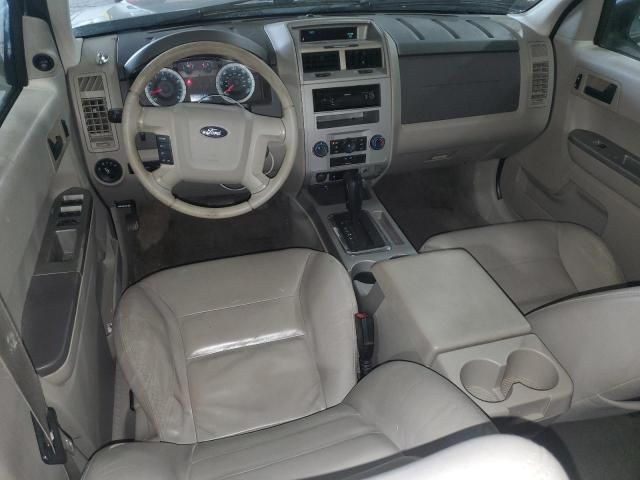 2008 Ford Escape XLT