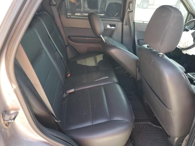 2008 Ford Escape Limited