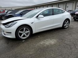 Salvage cars for sale from Copart Louisville, KY: 2019 Tesla Model 3