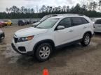 2011 KIA Sorento Base