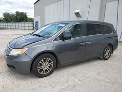 Salvage cars for sale at Apopka, FL auction: 2013 Honda Odyssey EX