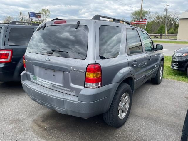 2007 Ford Escape HEV