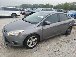 Ford Focus salvage cars for sale: 2014 Ford Focus SE