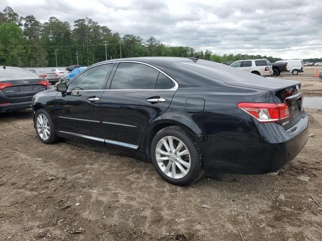 2010 Lexus ES 350