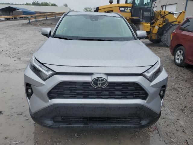 2024 Toyota Rav4 XLE Premium