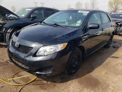 Salvage cars for sale at Elgin, IL auction: 2010 Toyota Corolla Base