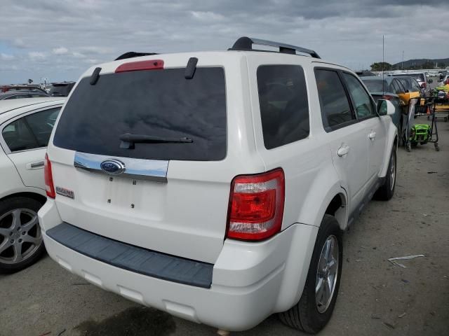 2009 Ford Escape Limited