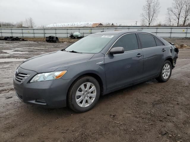 2009 Toyota Camry Hybrid