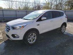 Salvage cars for sale at Grantville, PA auction: 2019 Ford Escape SE