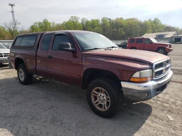 2003 Dodge Dakota SLT