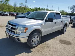 Cars With No Damage for sale at auction: 2013 Ford F150 Supercrew