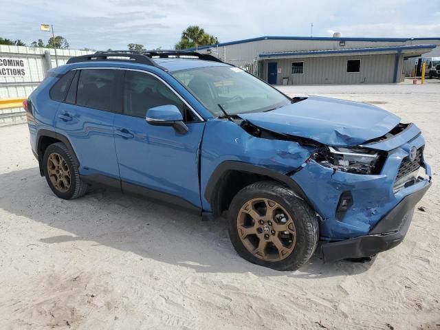 2023 Toyota Rav4 Woodland Edition