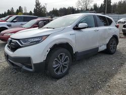 Salvage cars for sale at Graham, WA auction: 2022 Honda CR-V EXL