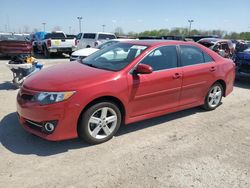 Flood-damaged cars for sale at auction: 2014 Toyota Camry L