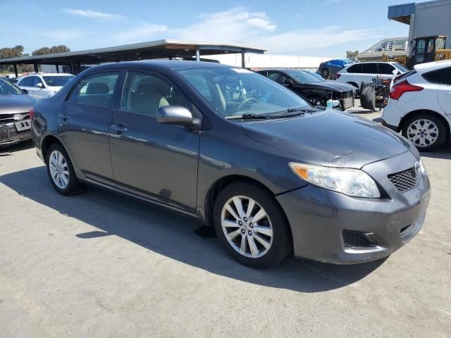 2009 Toyota Corolla Base