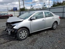 Vehiculos salvage en venta de Copart Hillsborough, NJ: 2009 Toyota Corolla Base