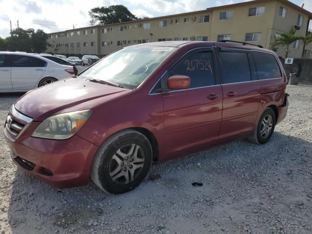 2005 Honda Odyssey EXL