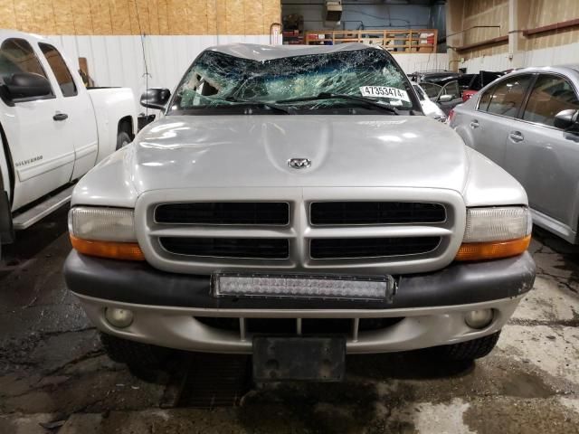 2001 Dodge Dakota