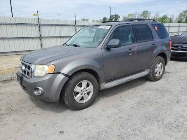 2009 Ford Escape XLT