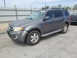 2009 Ford Escape XLT for sale in Lumberton, NC