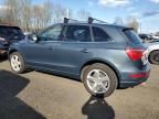 2010 Audi Q5 Prestige