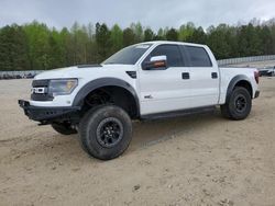 Vehiculos salvage en venta de Copart Gainesville, GA: 2013 Ford F150 SVT Raptor