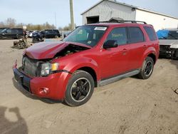 Ford salvage cars for sale: 2011 Ford Escape XLT