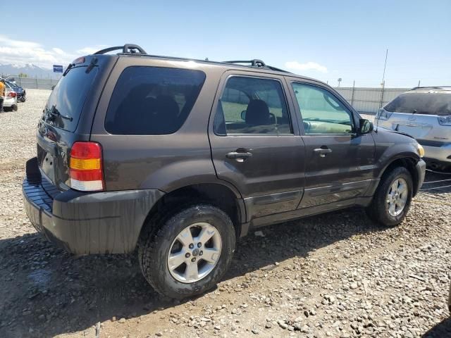 2006 Ford Escape XLT