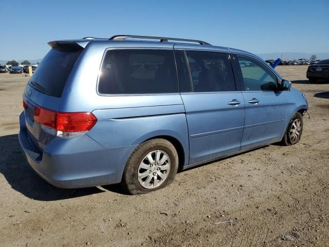 2010 Honda Odyssey EXL