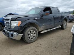 Vehiculos salvage en venta de Copart San Martin, CA: 2013 Ford F150 Supercrew