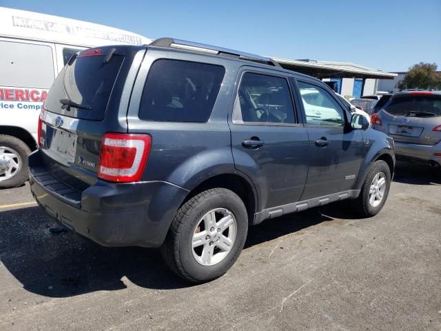 2008 Ford Escape HEV