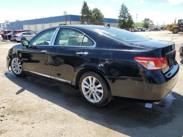 2010 Lexus ES 350