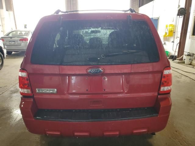 2011 Ford Escape XLT