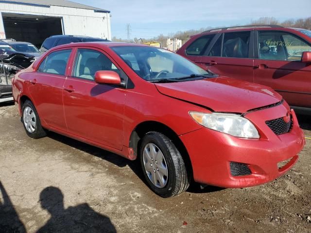 2010 Toyota Corolla Base