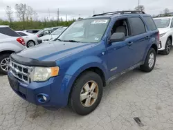 Hail Damaged Cars for sale at auction: 2008 Ford Escape XLT