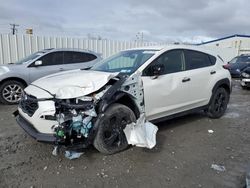 Salvage cars for sale at Albany, NY auction: 2024 Subaru Crosstrek