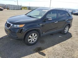 Salvage cars for sale at Vallejo, CA auction: 2013 KIA Sorento LX