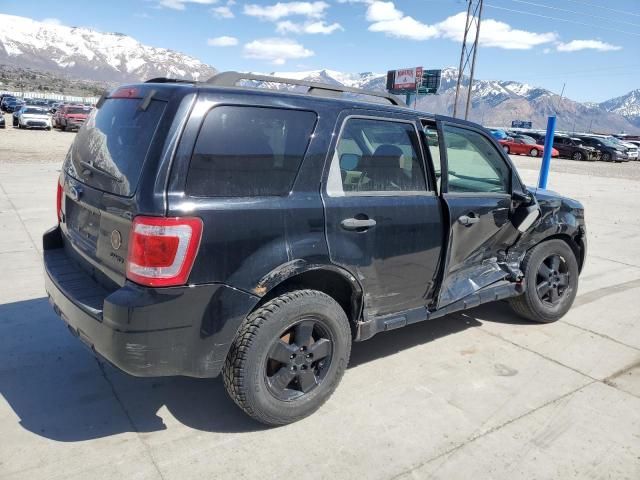 2008 Ford Escape XLT