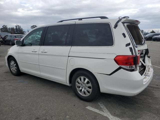 2008 Honda Odyssey EXL