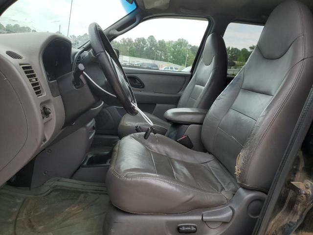 2001 Ford Escape XLT