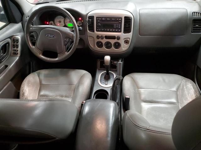 2007 Ford Escape XLT