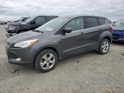 Salvage cars for sale from Copart Earlington, KY: 2016 Ford Escape SE