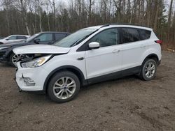 Salvage cars for sale at Bowmanville, ON auction: 2019 Ford Escape SEL
