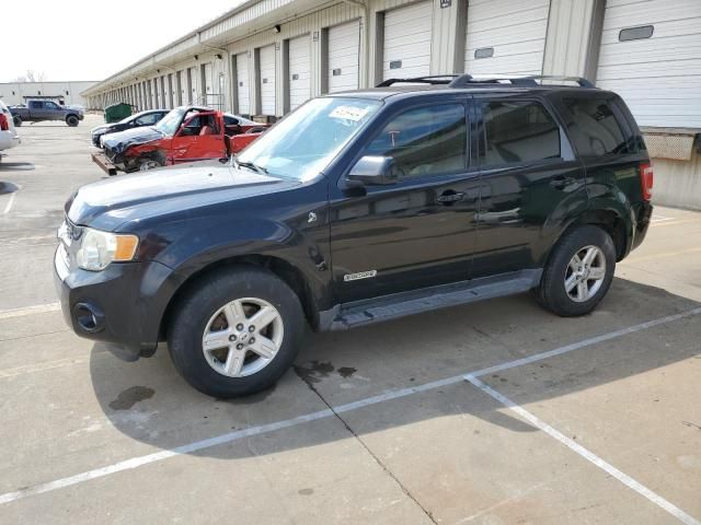 2008 Ford Escape HEV