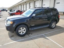 Salvage cars for sale at Louisville, KY auction: 2008 Ford Escape HEV