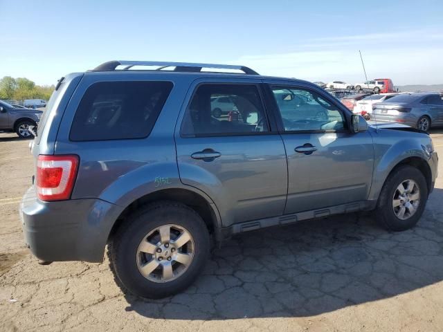 2011 Ford Escape Limited